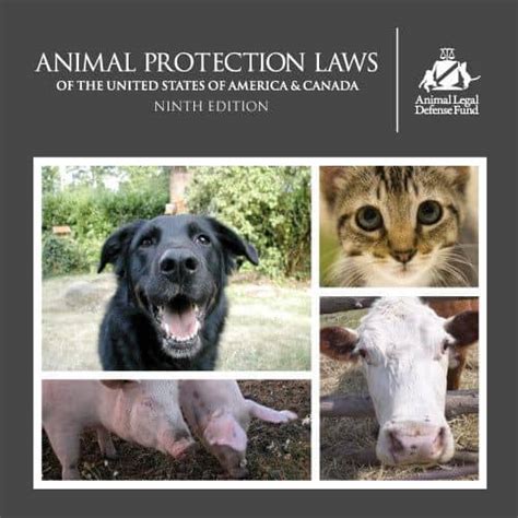 What Laws Protect Farm Animals